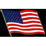 USA FLAG UNITED STATES FLAG WAVING LARGE DX PIN
